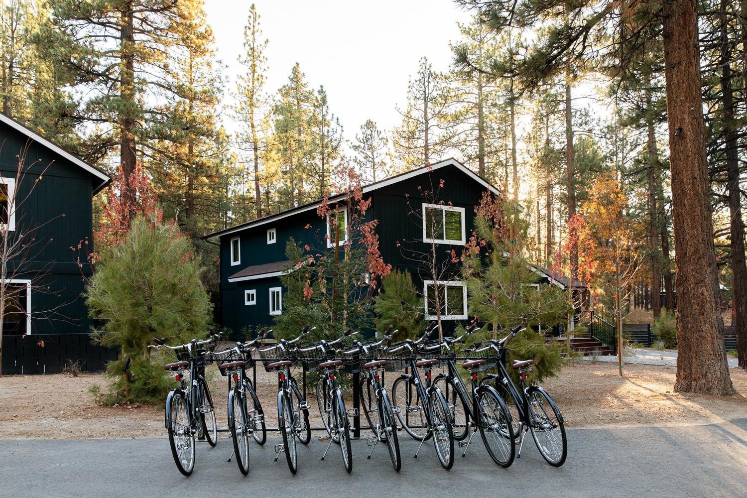 Np Boutique Lodge Big Bear Lake Dış mekan fotoğraf